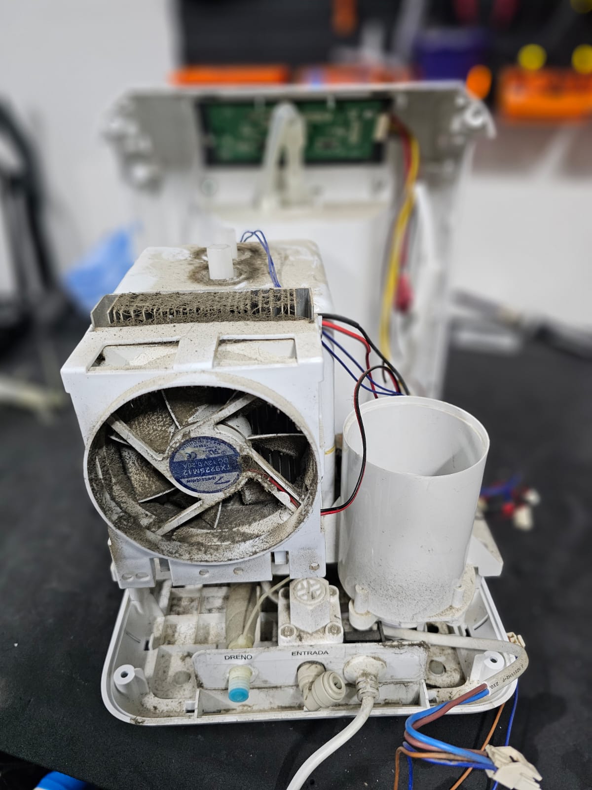 Imagem do WhatsApp de 2024-09-30 à(s) 15.19.22_f1a015bb.jpg