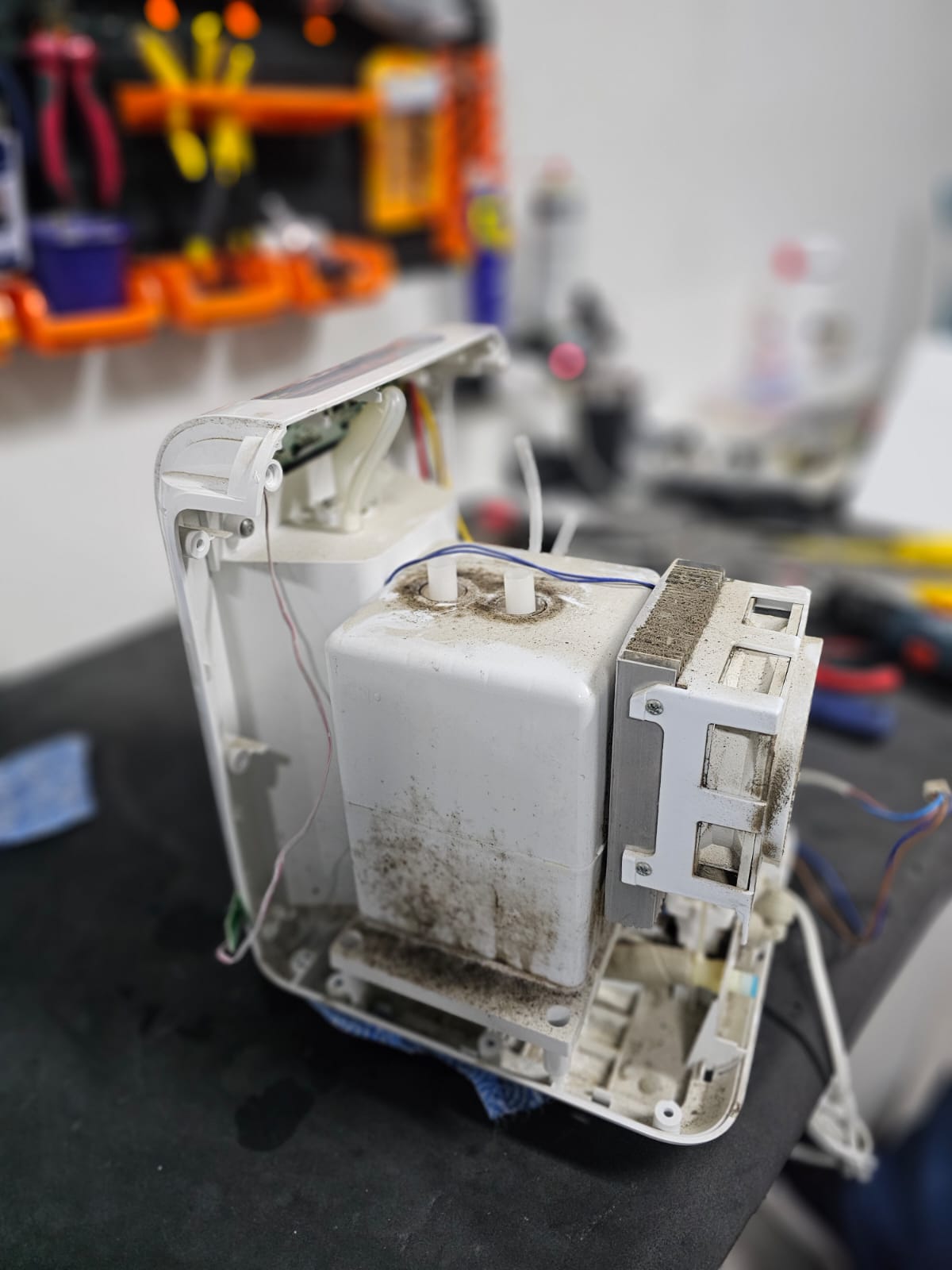 Imagem do WhatsApp de 2024-09-30 à(s) 15.19.22_ad8c5cf8.jpg